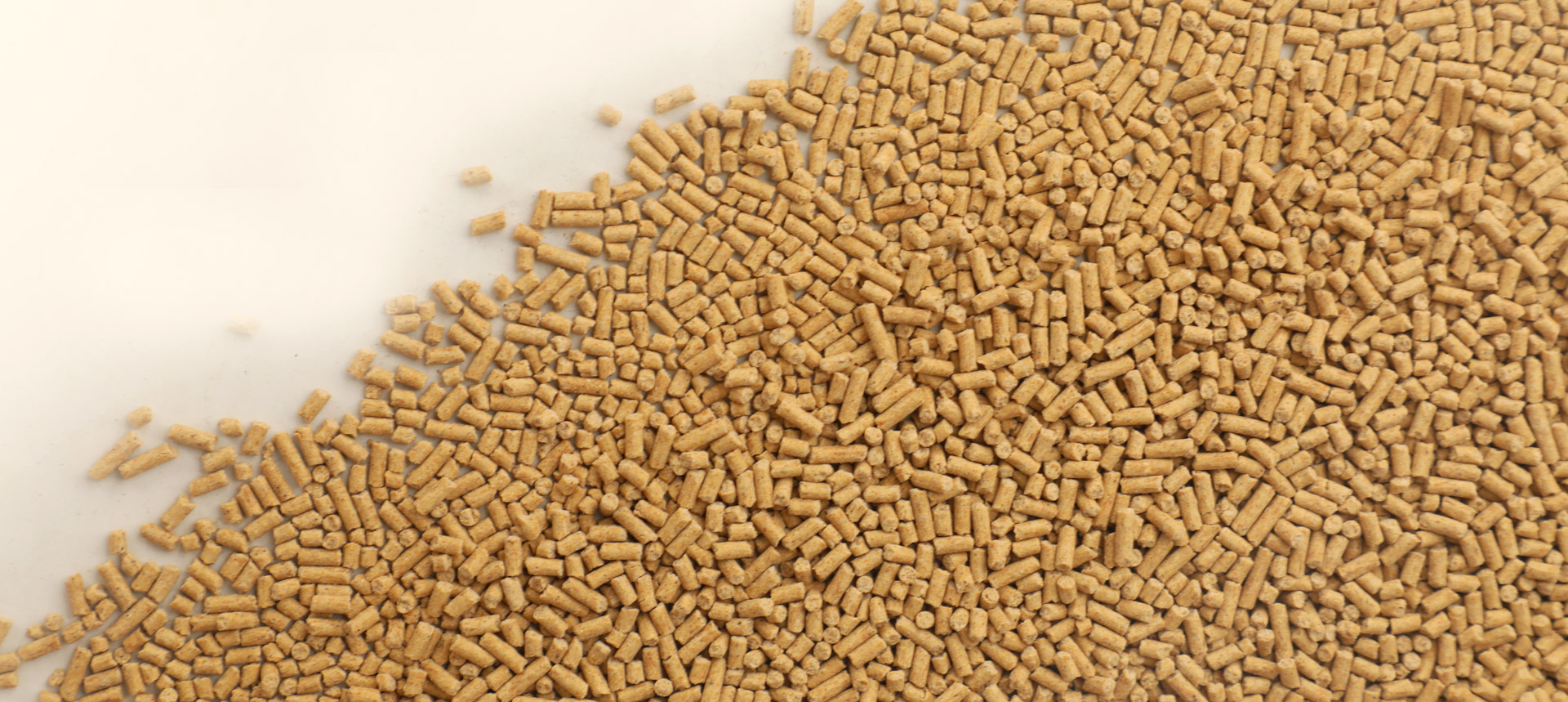 飼料産(chan)業 Feed 