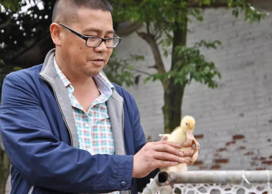 小(xiǎo)苗定製(zhi)上孵打開緻富(fu)之(zhi)們(men)