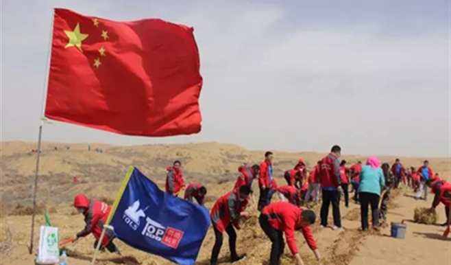 沙漠植入鐵騎樹,荒原開出活力(li)花(huā)