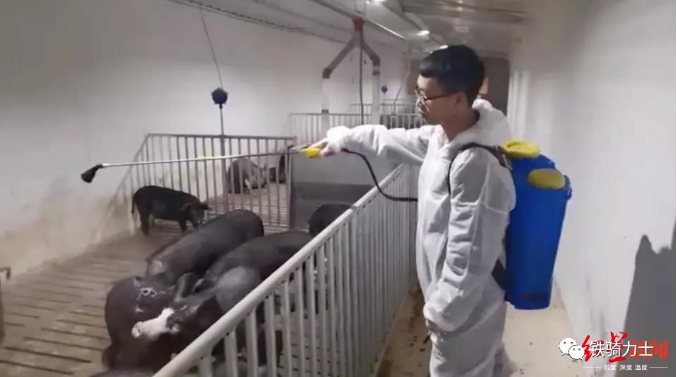 1582792060(1) 1582792060(1)