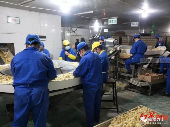 1582792117(1) 1582792117(1)