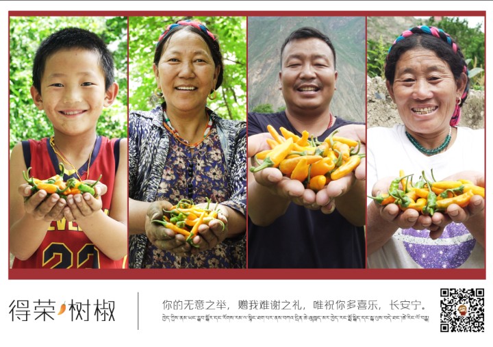 得榮樹椒明信(xin)片 (2).jpg