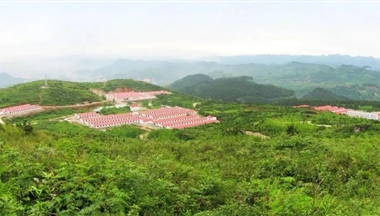 全國(guo)僅62傢(jia)!鐵騎力(li)士2傢(jia)豬場(chang)入選首批(pi)“無非(fei)洲豬瘟小(xiǎo)區(qu)”